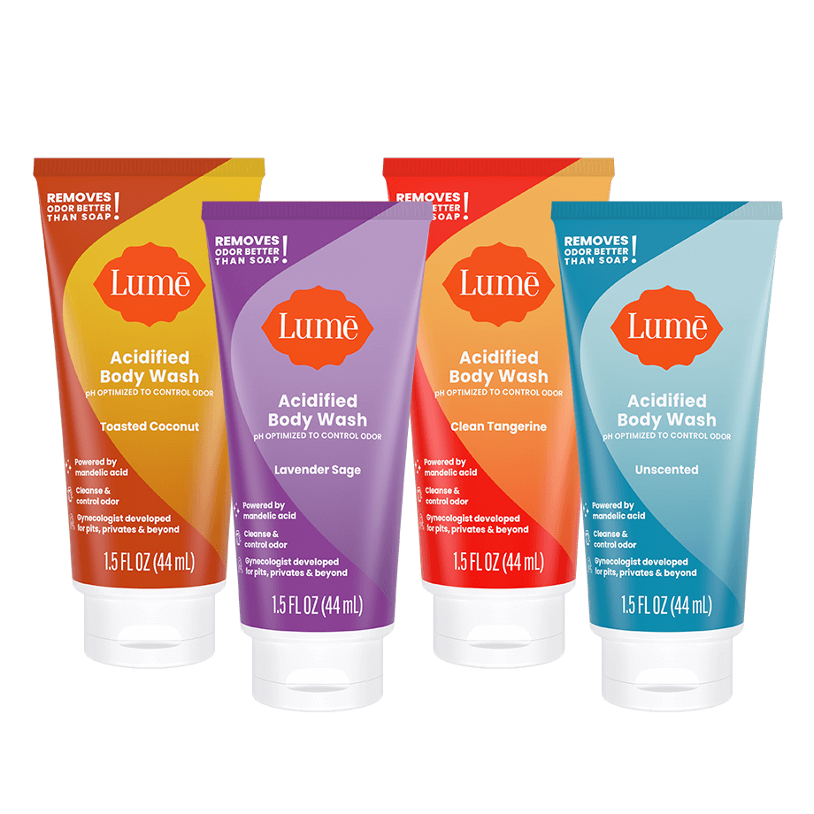 Sudsy Sampler 4-Pack - Image 2